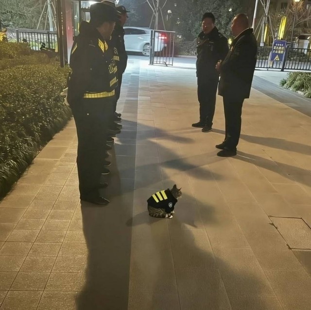 Я хожу везде пешком, будто ё*нутый мешком