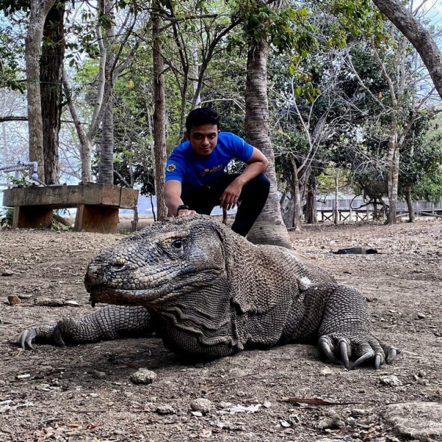 Комодский варан: Мегаящеры, способные завалить буйвола. Весь остров дрожит от их тирании