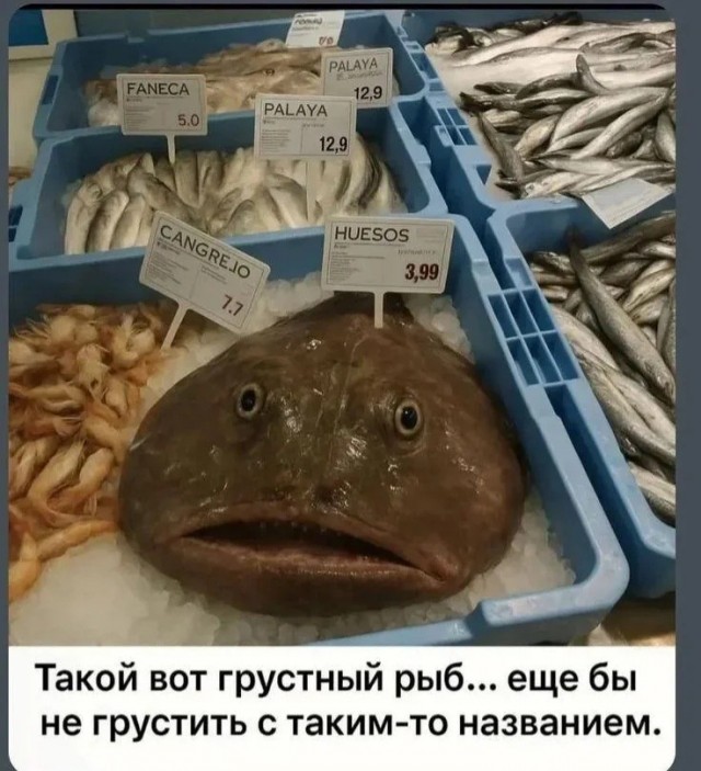 Картинки для деградации 168 (разной степени свежести)
