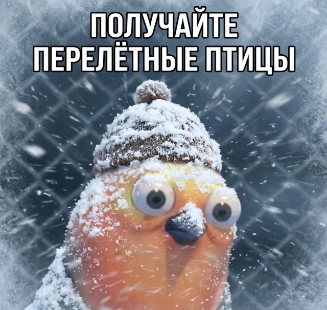 Утро в Москве