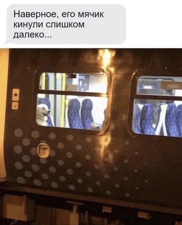 Веселые картинки в понедельник (08.06)