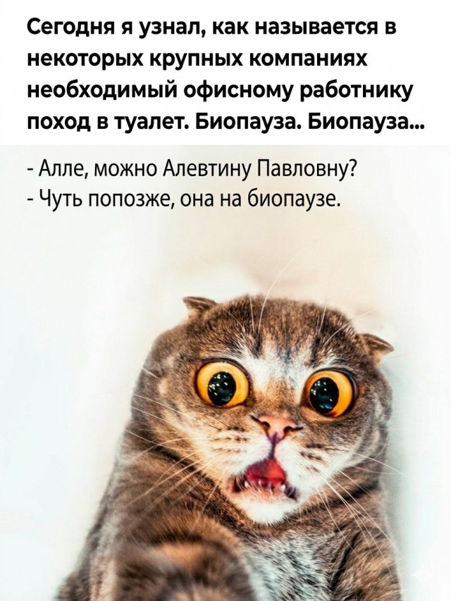 Так себе картинки 17.06.26