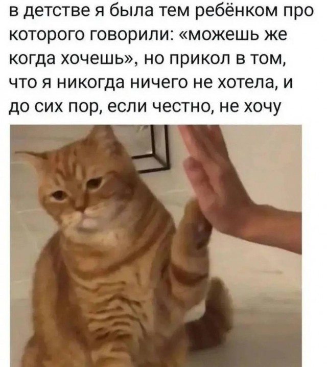 Картинки для деградации 226 (разной степени свежести)