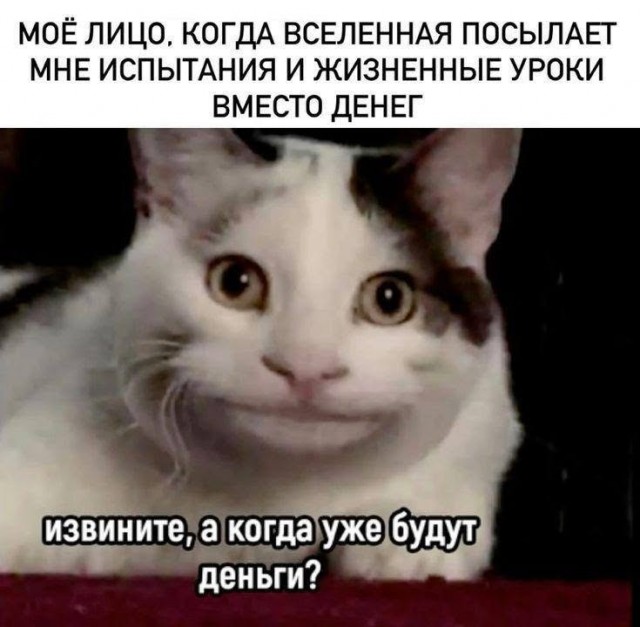 Картинки для деградации 234 (разной степени свежести)