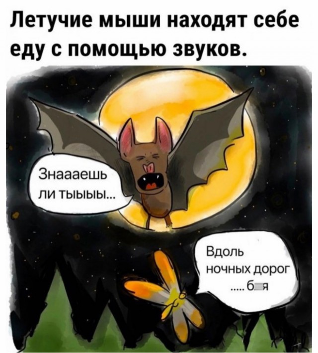 Веселые картинки в пятницу (31.07)