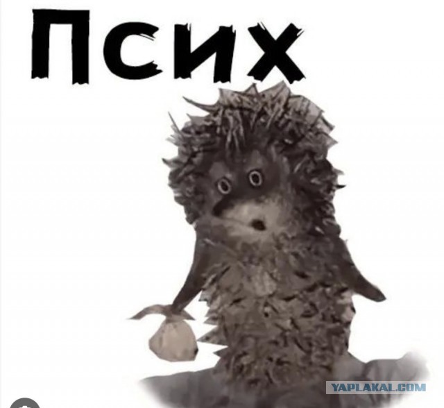 Ни о чем