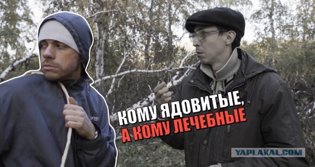 Чьих будет ?