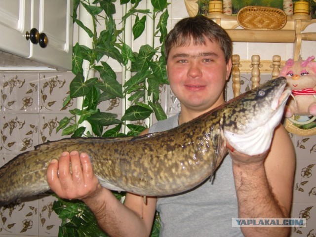 Рыбалка на Каме