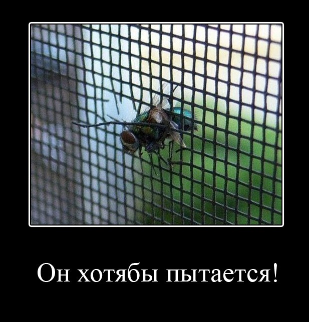 Демотиваторы от меня