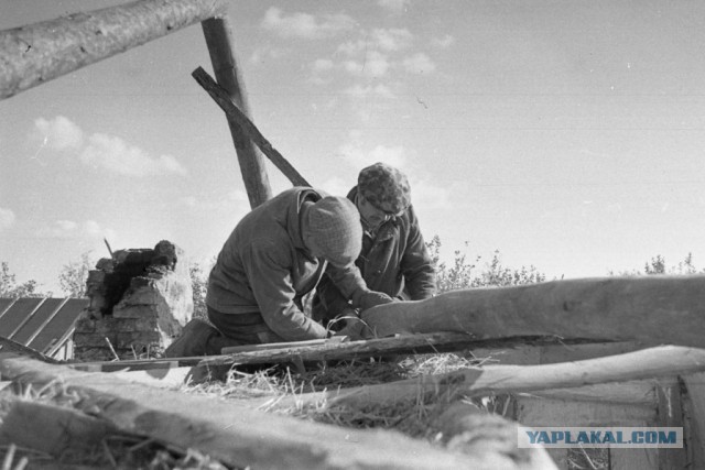 1970 год, село Козловка.
