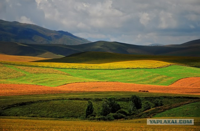 Нам улыбались в лицо, а за спиной шипели