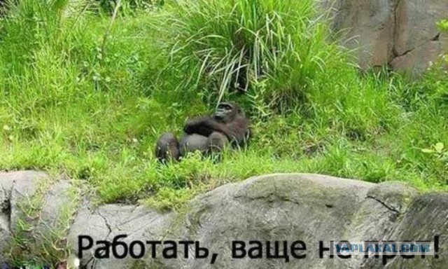 Чёрт, чёрт, чёрт!