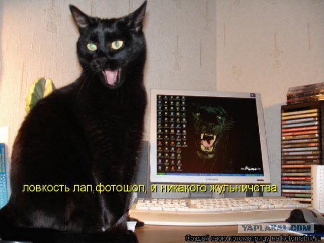 "Этого я не ожидала..."