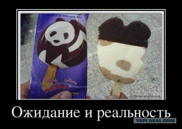 Веселости которые встретились сегодня