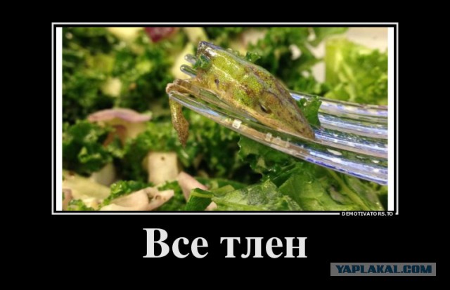 9 отвратительных вещей, найденных в еде