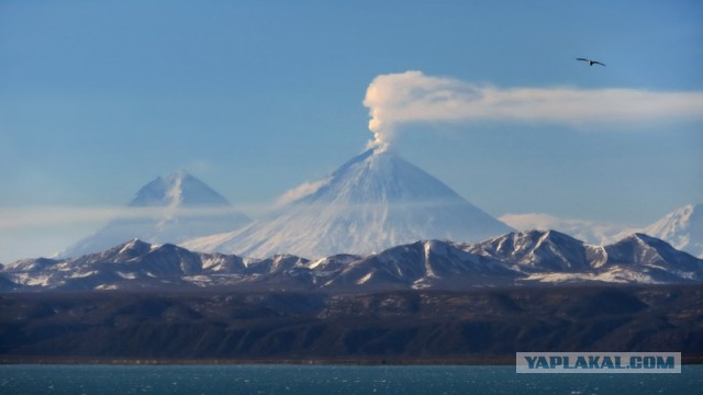 Морская романтика