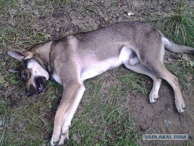 Две недели впечатлений.