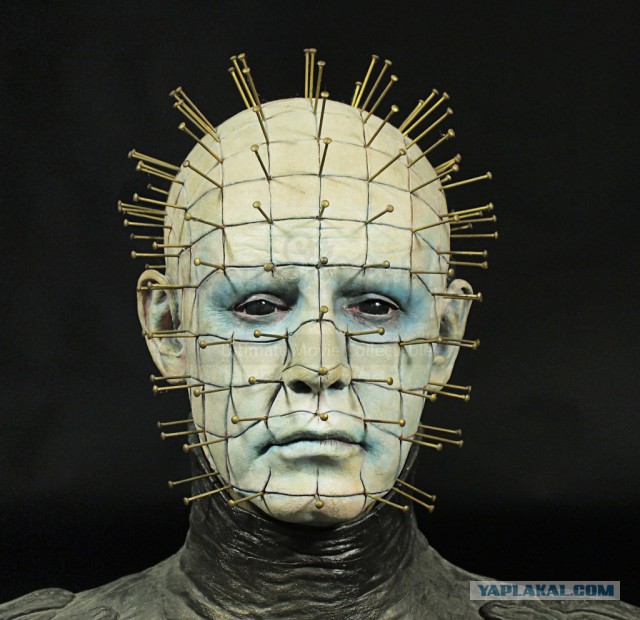 Гаражное кактусоводство