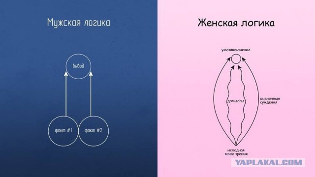 Женская логика. Мифы и реальность.