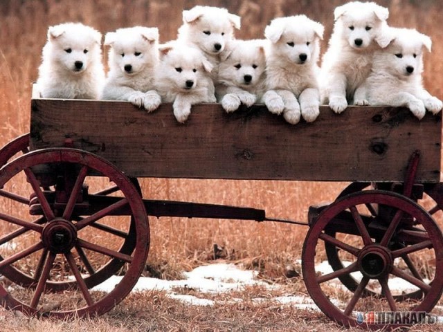 Уже да :) Ужо пятнецца...