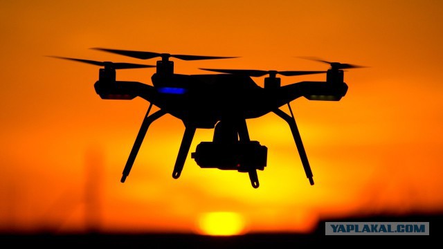 Подборка смешных, не очень и просто красивых фотографий