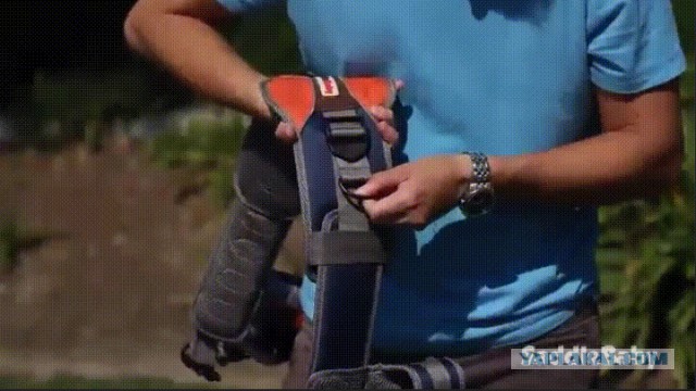 Отцам на заметку