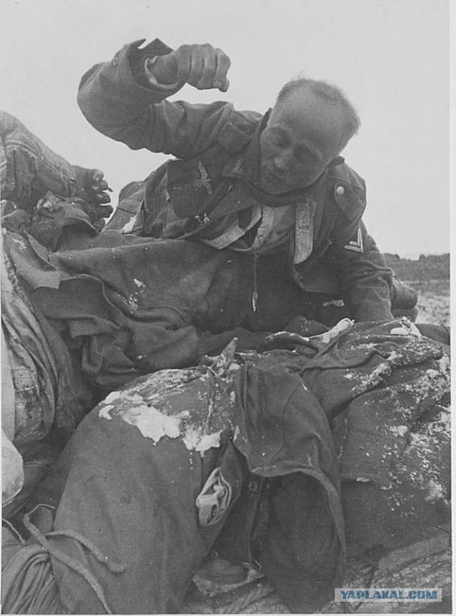 Дрезден, 1945 год. Бомбардировки Дрездена.