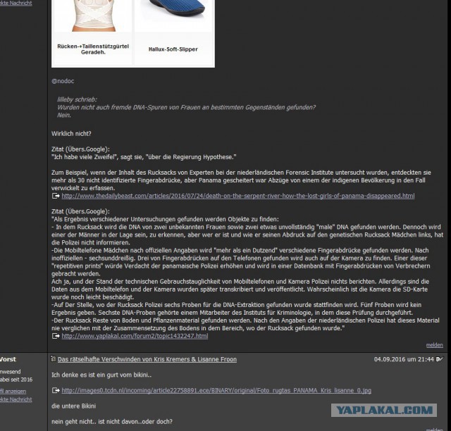 Исчезновение и трагическая гибель Лисанн Фрон и Крис Кремерс