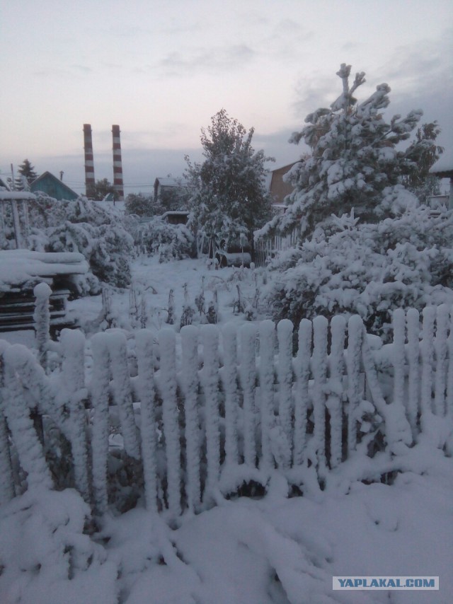 Погода в Омске