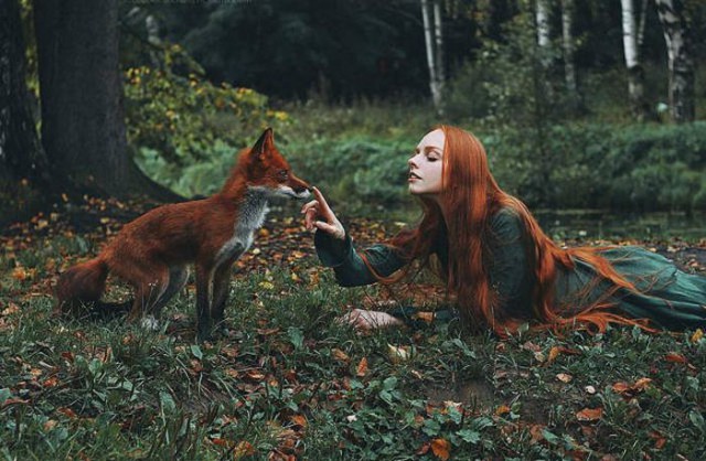 Самые смешные животные