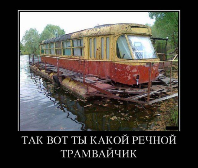 Порция абсурдного юмора на следующую неделю