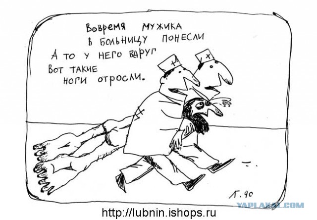 И вскричал Гиппопотам - Что за стыд, что за срам!