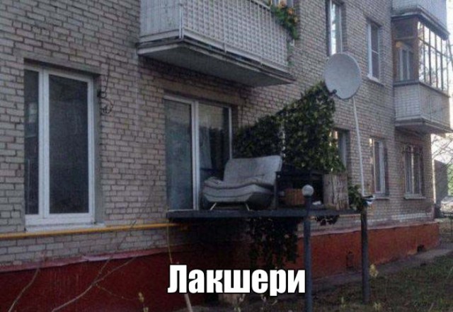Подборка безудержного веселья