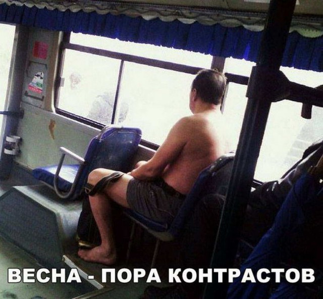 Подборка безудержного веселья