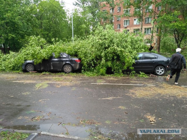 В Москве ураган!