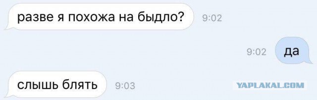 Смешные комментарии из социальных сетей 21.07.2017