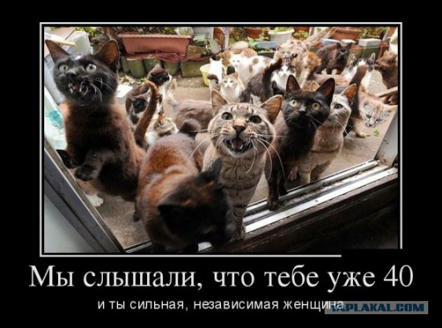 Ни фига не весело