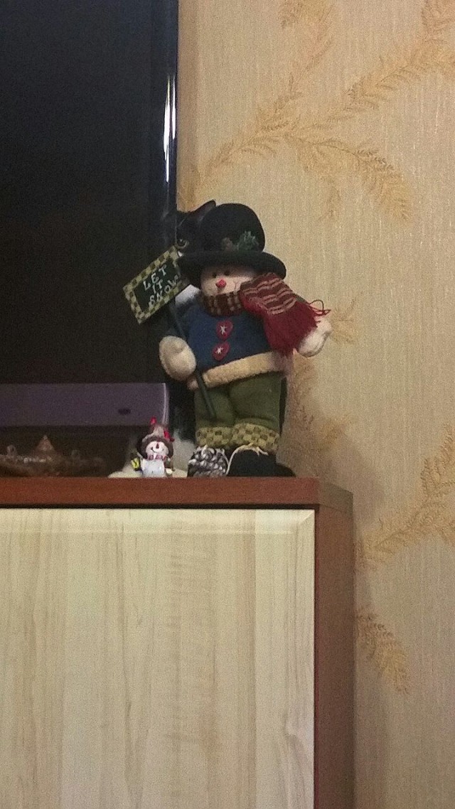 Котовторник 12.12.2017