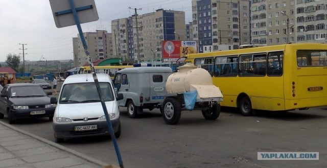 Жара, пить хочется всем!