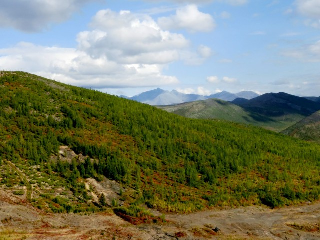 Зеркала