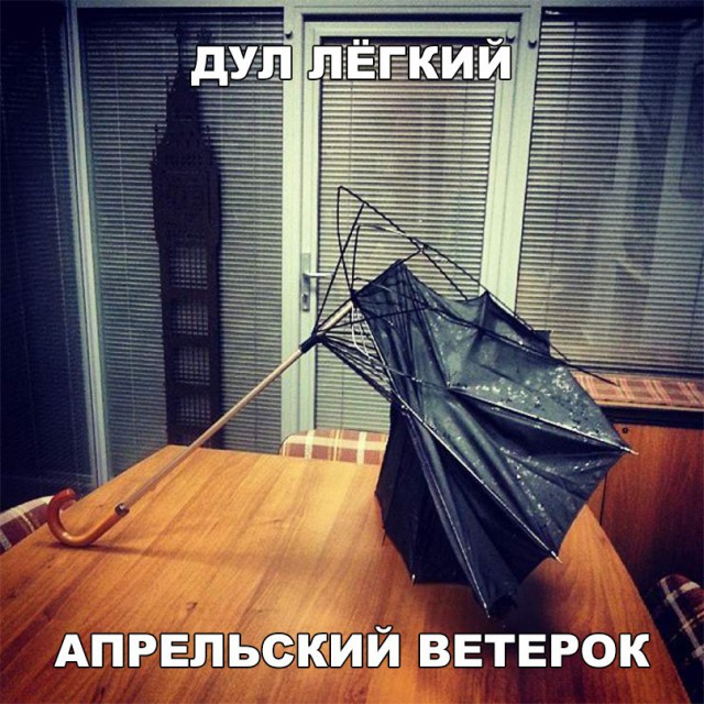 Прикольные картинки обо всём