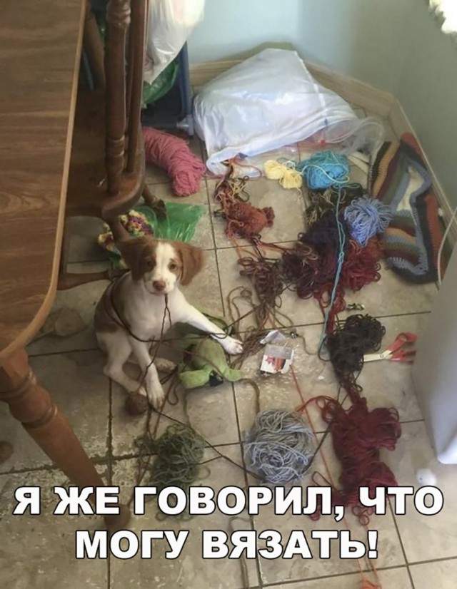 Нестандартный юмор