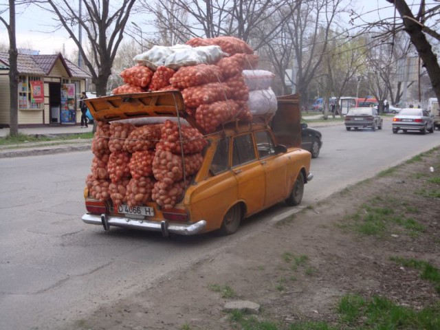 Началось! Картофельная лихорадка стартовала в Беларуси