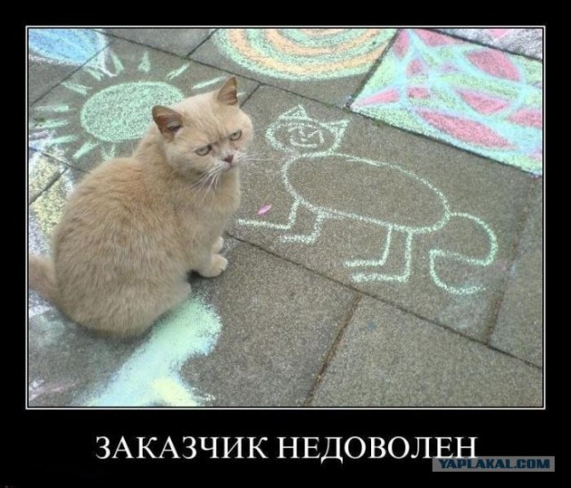 Кот Идет в Бой, и другая живность.
