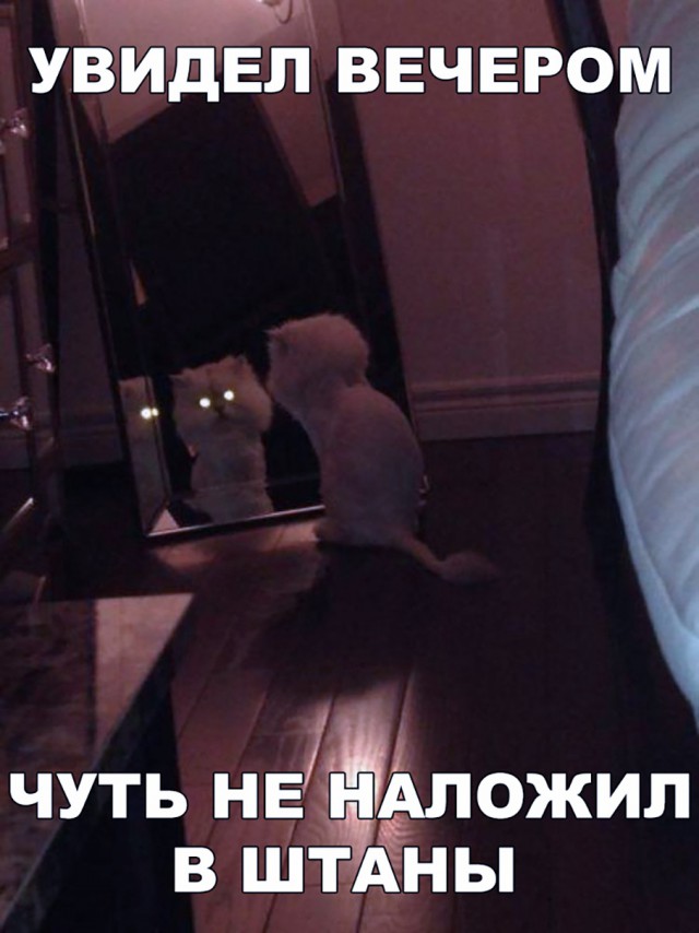 Немного милоты