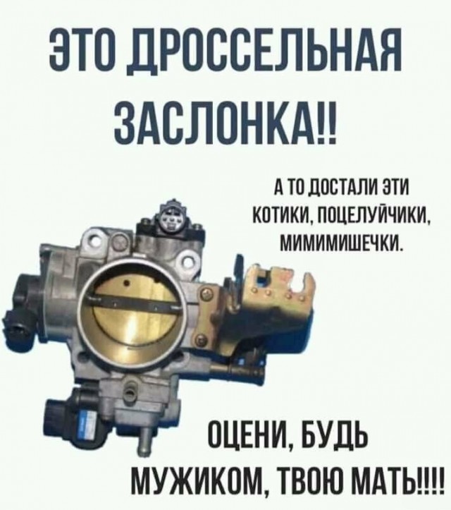 Смешные комментарии из социальных сетей 28.12.2018