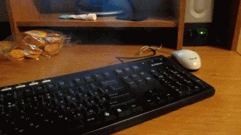 Компьютерная мышка ворует печенье!