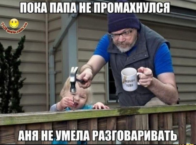 Применим физику в постели или белка и стрелка. Картинки