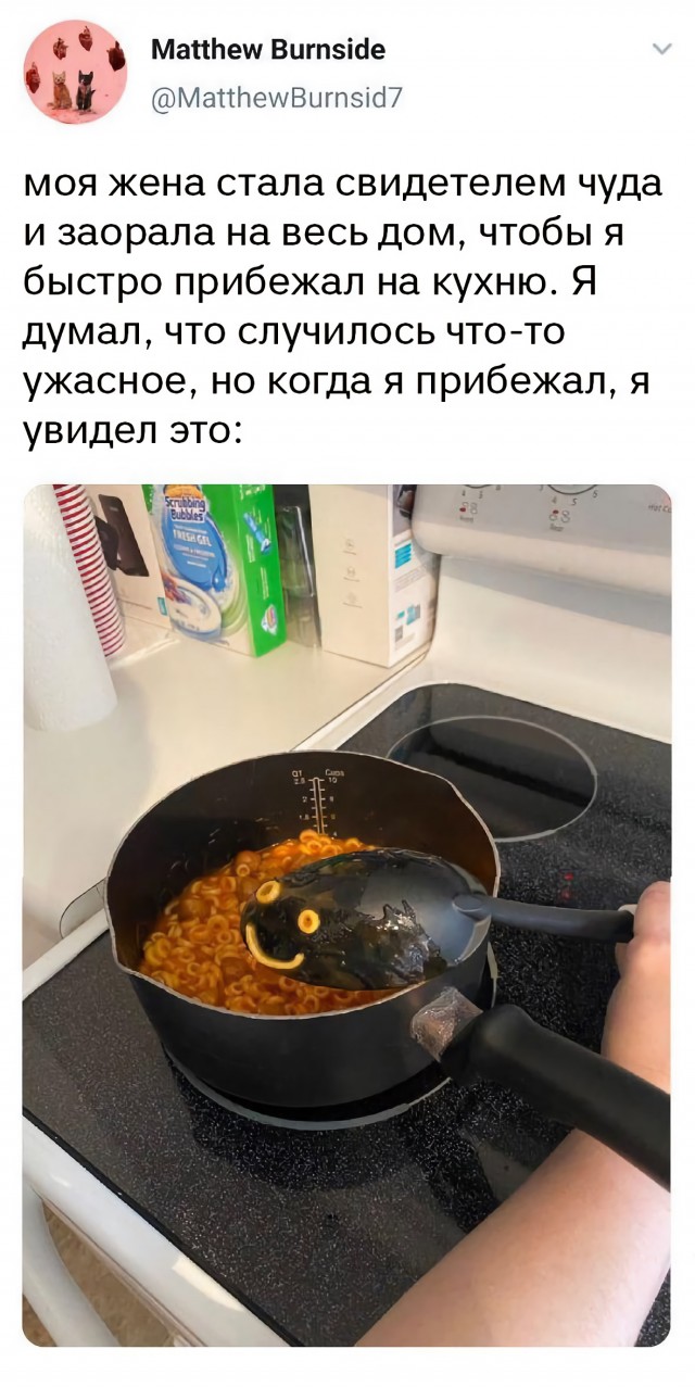 Немного картинок для настроения 17.05.20