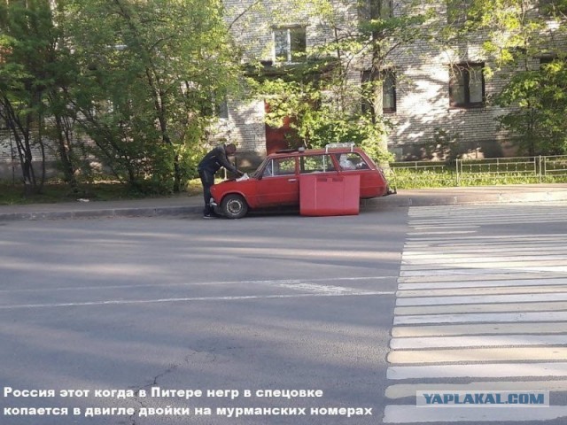 Картинки разные на сегодня